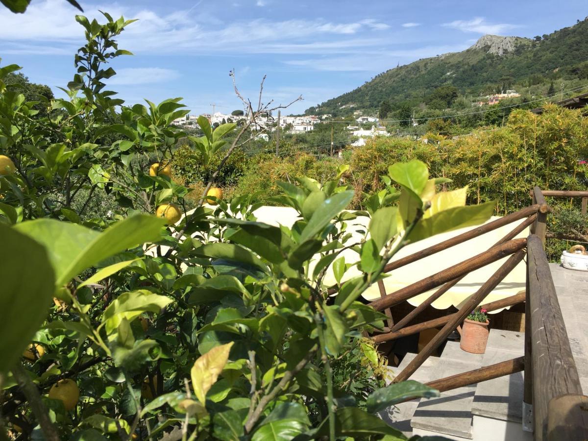Relais Villa Anna Anacapri  Eksteriør bilde